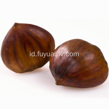 Dijual bersih Chestnut segar